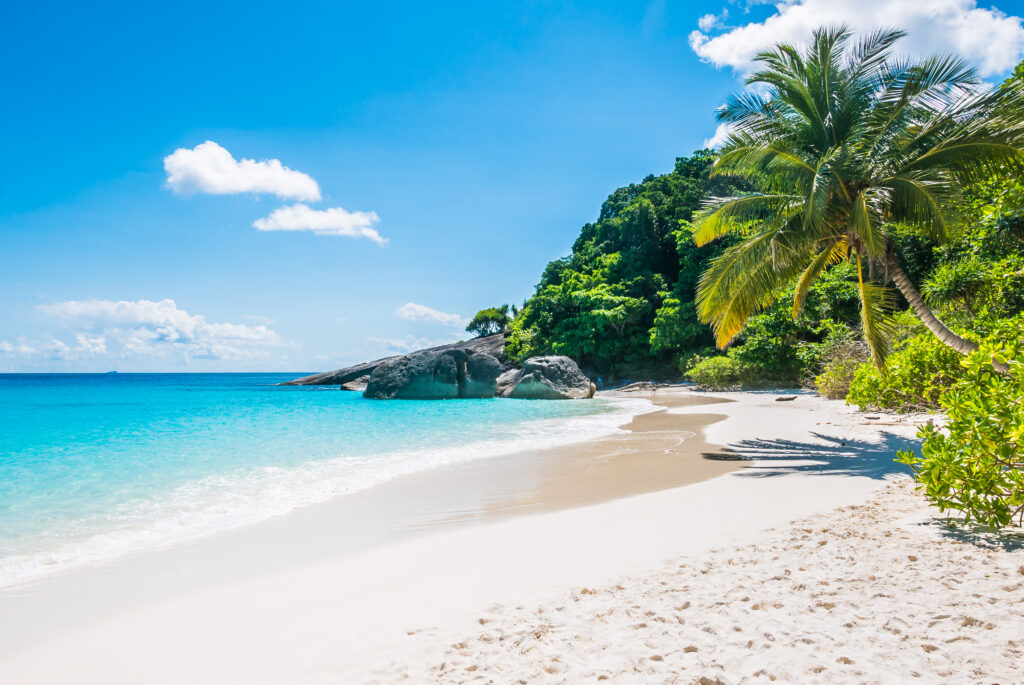 Beach Palms Blue Water Hagenberg